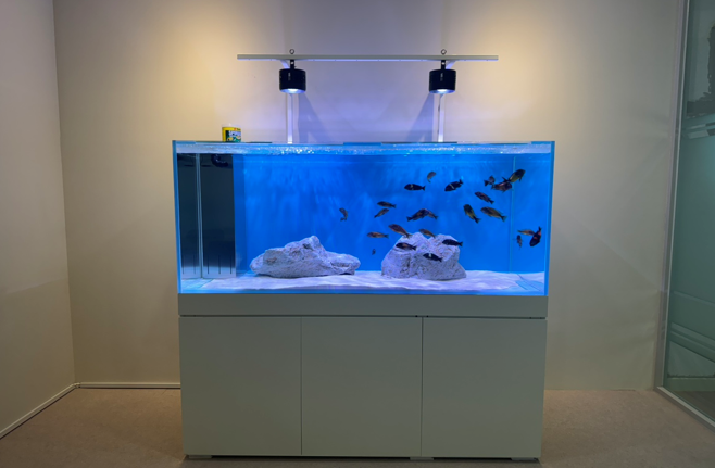 스크린샷 2025-12-03 113319.png